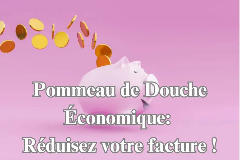 Pommeau de Douche Économique: Réduisez votre facture !